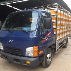 Hyundai Mighty N250SL Thùng Chở Gia Cầm