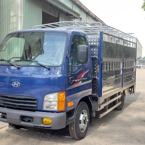 Hyundai Mighty N250SL Chở Gia Súc
